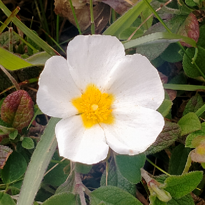 avatar for itziar@frikiverse.zone