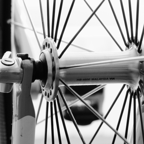 avatar for ghose@gts.xmgz.eu