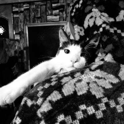 avatar for rvfeh@todon.nl