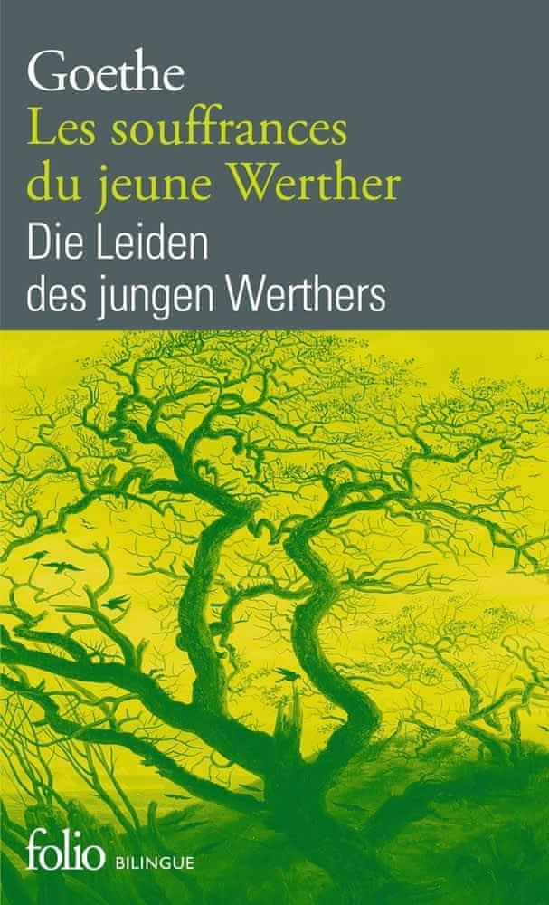 Johann Wolfgang von Goethe: Les Souffrances du jeune Werther (French language, 1990, Éditions Gallimard)