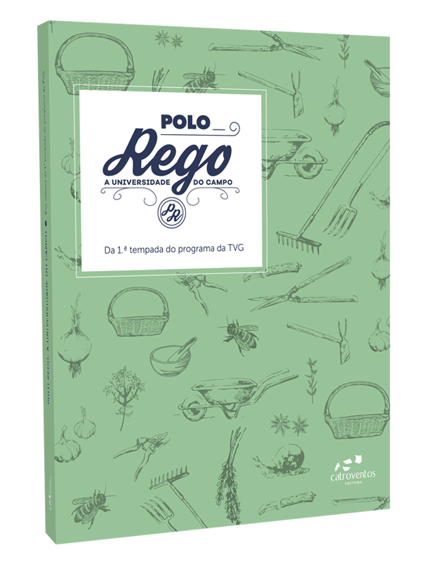 María Mediero Mayán: Polo rego (Paperback, galego language, Catroventos)