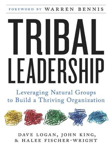 Dave Logan: Tribal Leadership (EBook, 2008, HarperCollins)