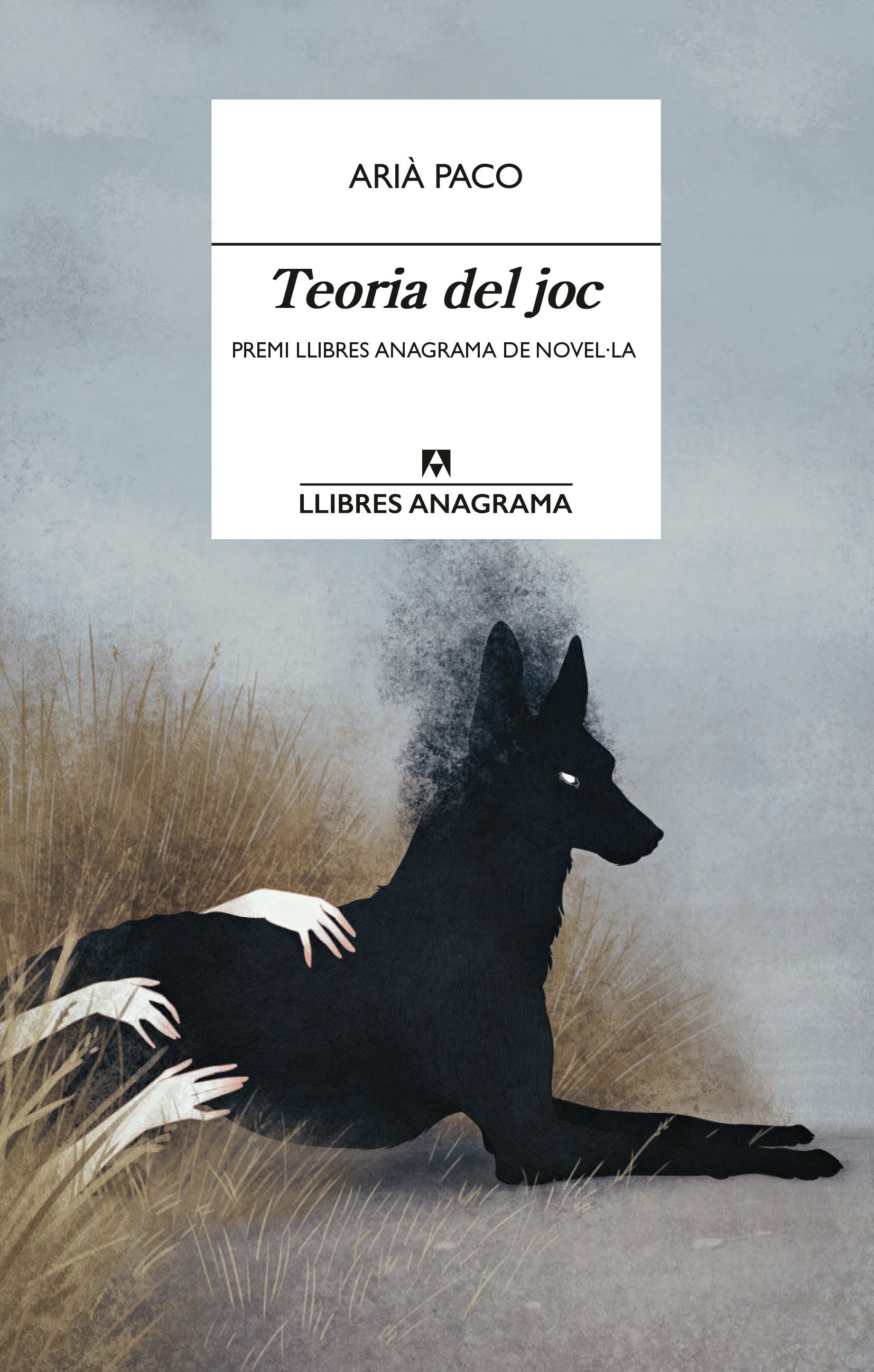 Arià Paco: Teoria del joc (EBook, català language, Editorial Anagrama)