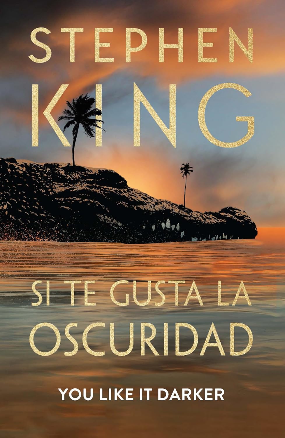 Stephen King: Si te gusta la oscuridad (Hardcover, Gaztelania language, PLAZA&JANES)