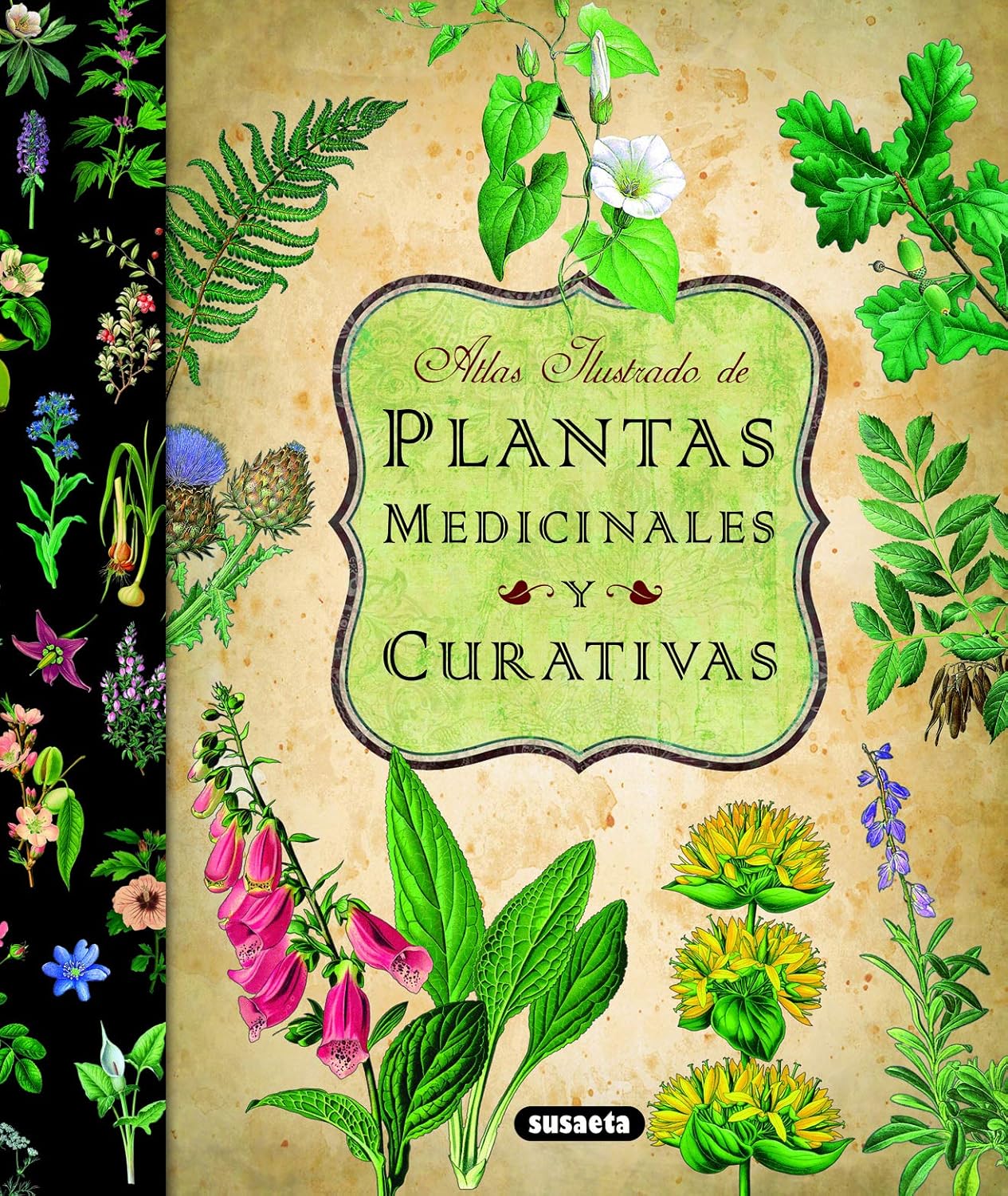 Equipo Susaeta: Plantas Medicinales Y Curativas (Atlas Ilustrado) (Hardcover, Español language, 2011, Tikal-Susaeta)
