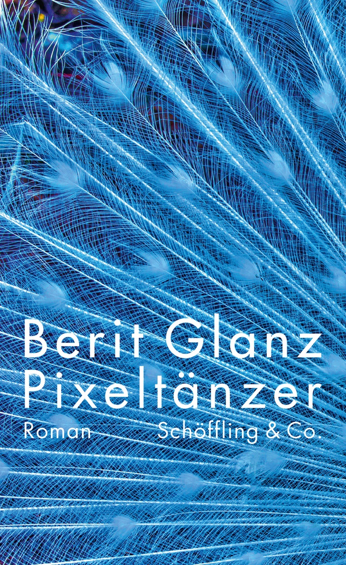 Berit Glanz: Pixeltänzer (German language, 2020, Schöffling & Co.)