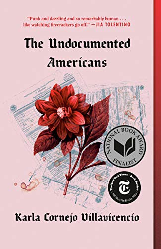 Karla Cornejo Villavicencio: The Undocumented Americans (Paperback, One World)