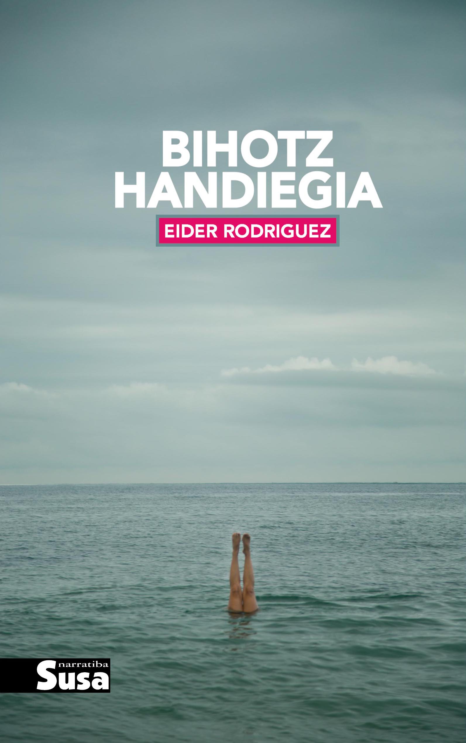 Eider Rodríguez Martin: Bihotz handiegia (Paperback, Basque language, 2017, Susa)