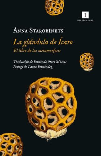 Anna Starobinets, Fernando Otero Macías, Laura Fernández: La glándula de Ícaro: el libro de las metamorfosis (Paperback, Español language, 2023, Impedimenta)