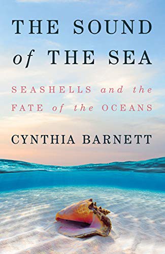 Cynthia Barnett: The Sound of the Sea (Hardcover, 2021, W. W. Norton & Company)