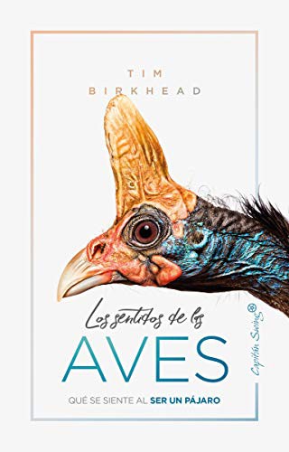 Tim Birkhead: Los sentidos de las aves (Paperback, CAPITÁN SWING, Capitán Swing)