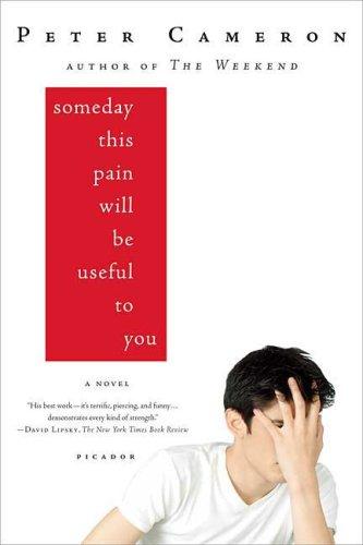 Cameron, Peter: Someday this pain will be useful to you (2009, Picador)