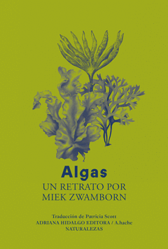 Miek Zwamborn: Algas (Paperback, castellano language, 2024, Adriana Hidalgo Editora SA)