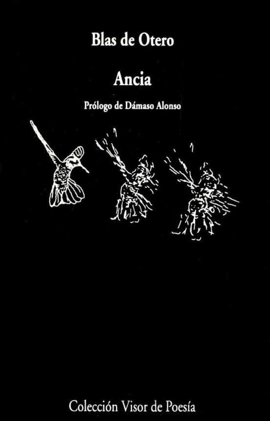 Ancia (Paperback, Spanish language, 2005, Visor Libros)