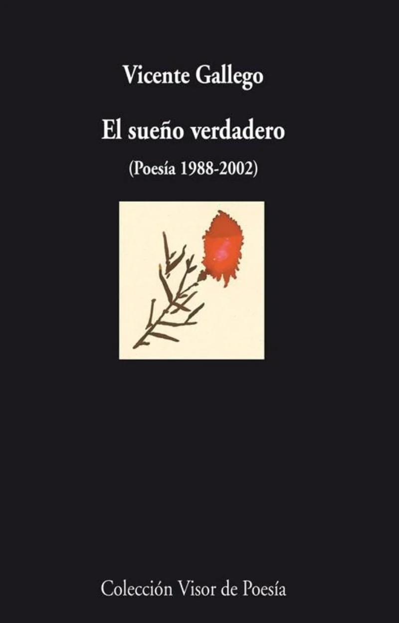 Vicente Gallego: El sueño verdadero (Paperback, Español language, 2003, Visor Libros)