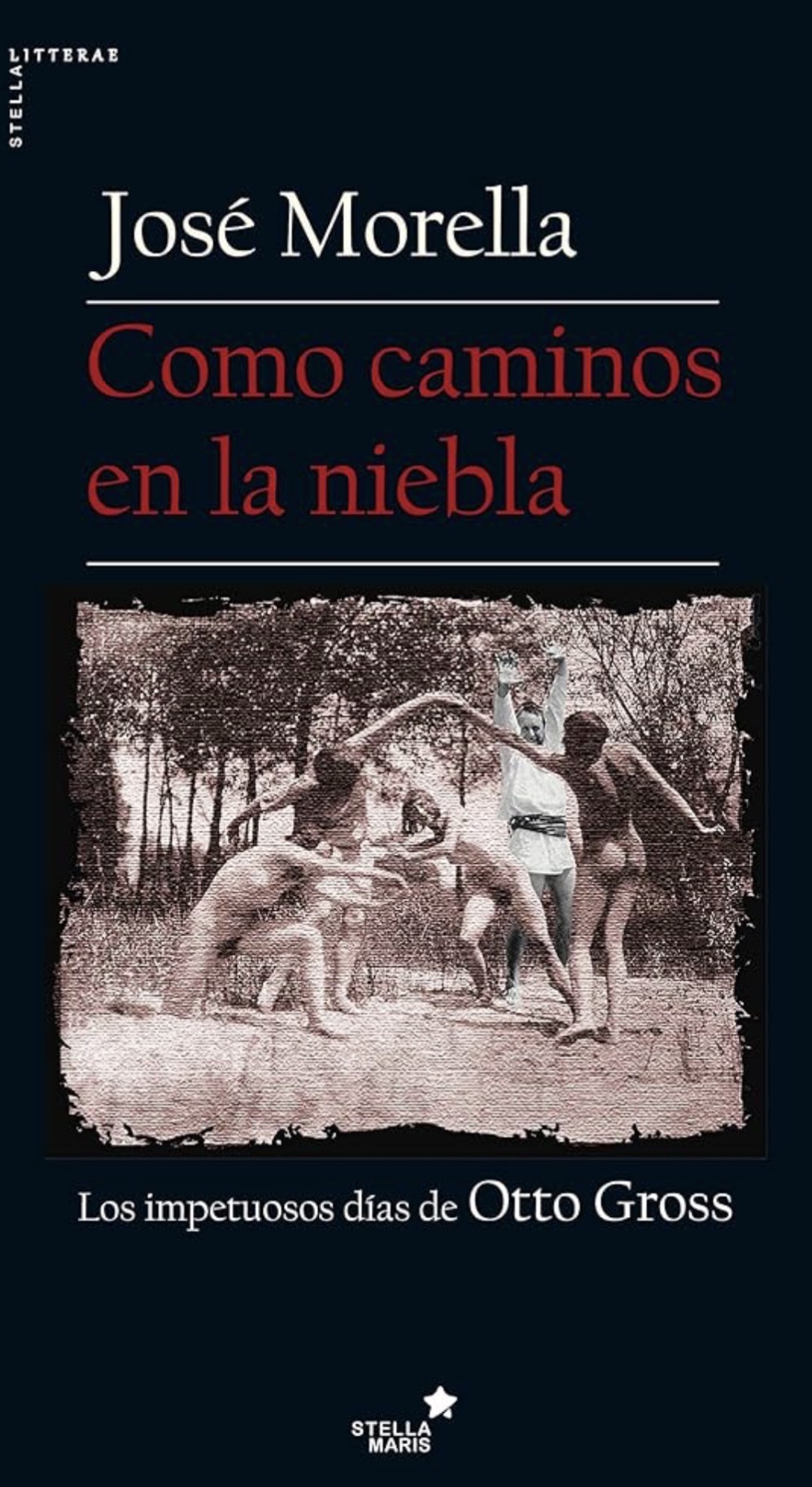 José Morella: Como caminos en la niebla (Paperback, Español / Castellano language, 2016, Stella Maris)