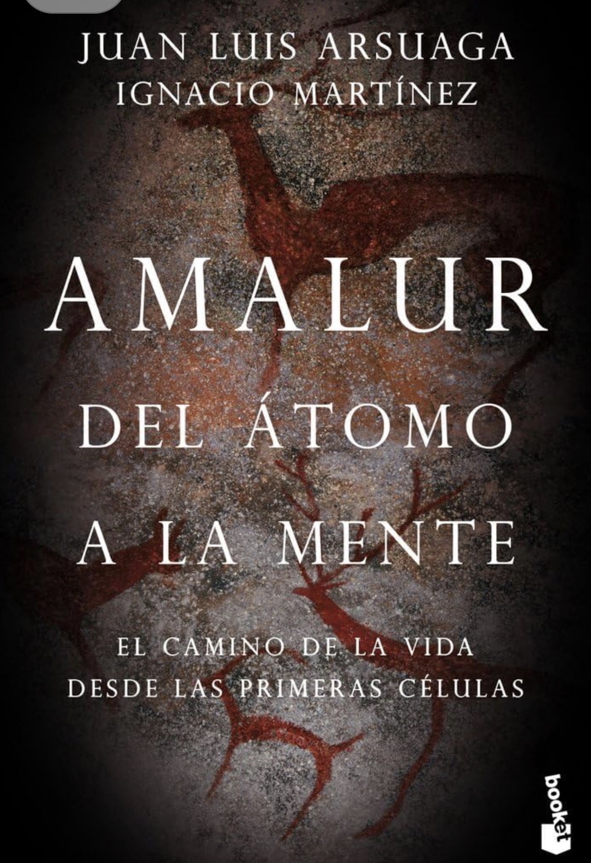Juan Luis Arsuaga, Ignacio Martínez: Amalur, del átomo a la mente (Paperback, Español / Castellano language, 2019, Planeta)