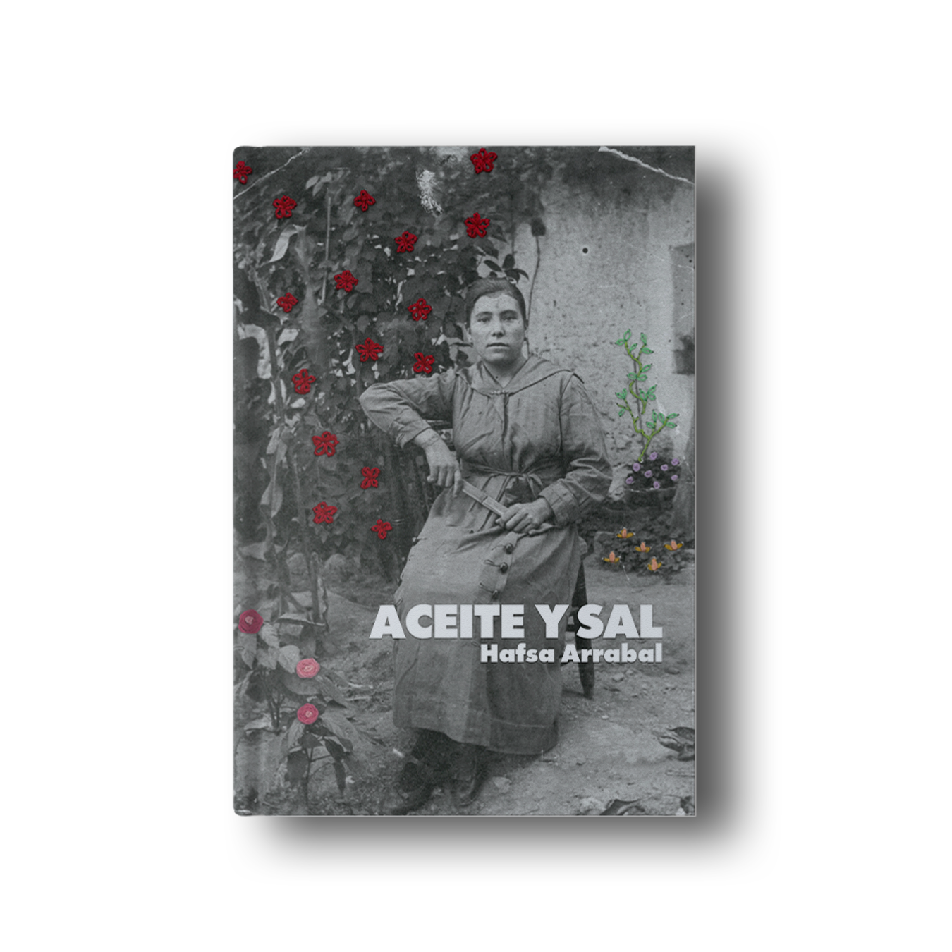 Hafsa Arrabal: Aceite y sal (Paperback, Andaluz y español language, Avenate)