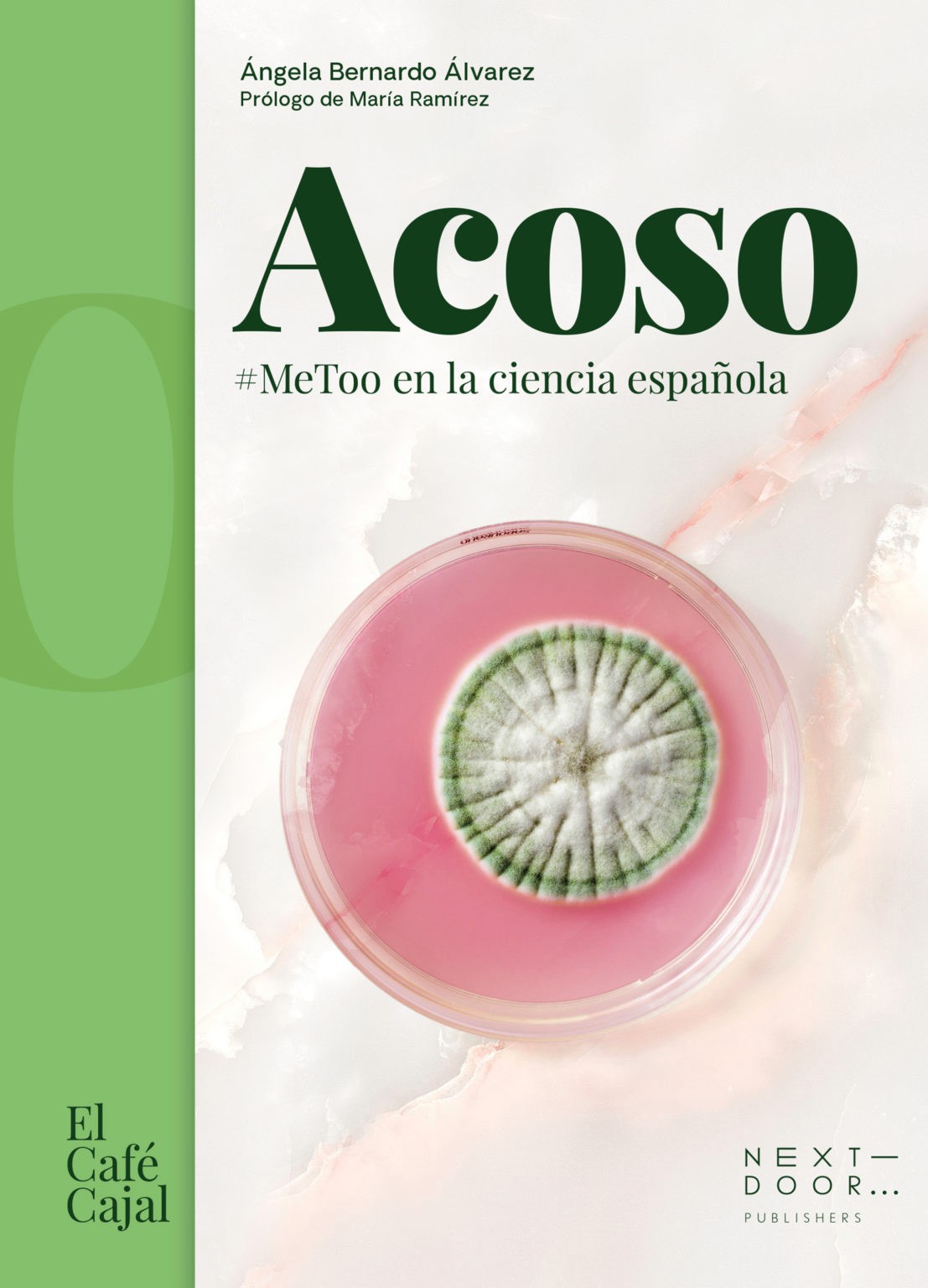 Ángela Bernardo Álvarez: Acoso (Hardcover, Spanish language, Next soor publishers)