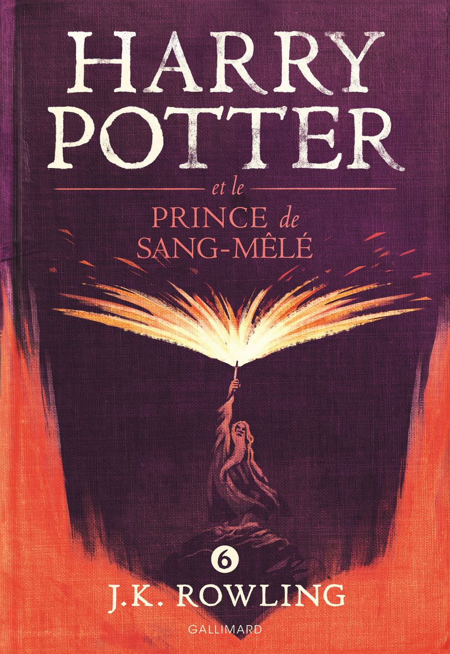 J. K. Rowling: Harrry Potter et le Prince de Sang-Mêlé (EBook, French language, 2005)