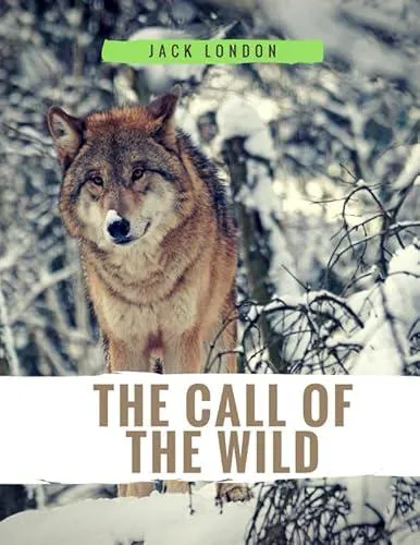 Jack London: Call of the Wild (2017, Independently Published)