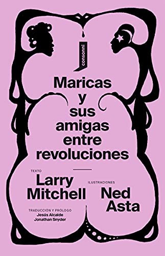 Larry Mitchell, Ned Asta, Jesús Alcaide, Jonathan Snyder: Maricas y sus amigas entre revoluciones (Paperback, Consonni)