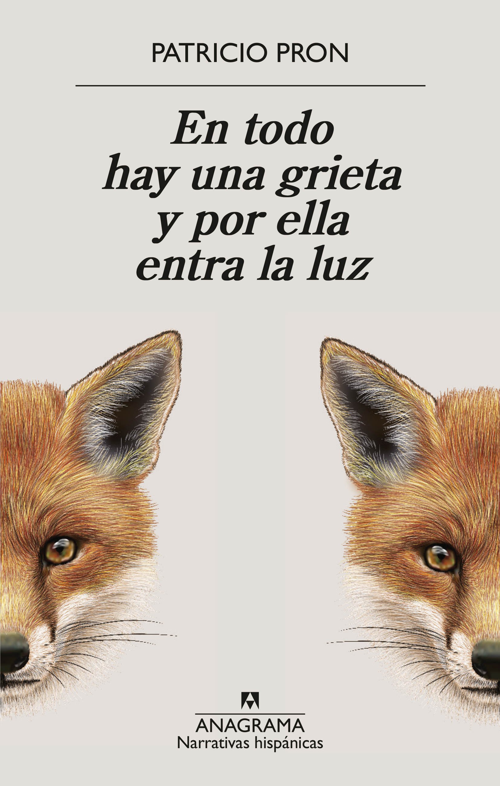 Patricio Pron: En todo hay una grieta y por ella entra la luz (Paperback, Anagrama)