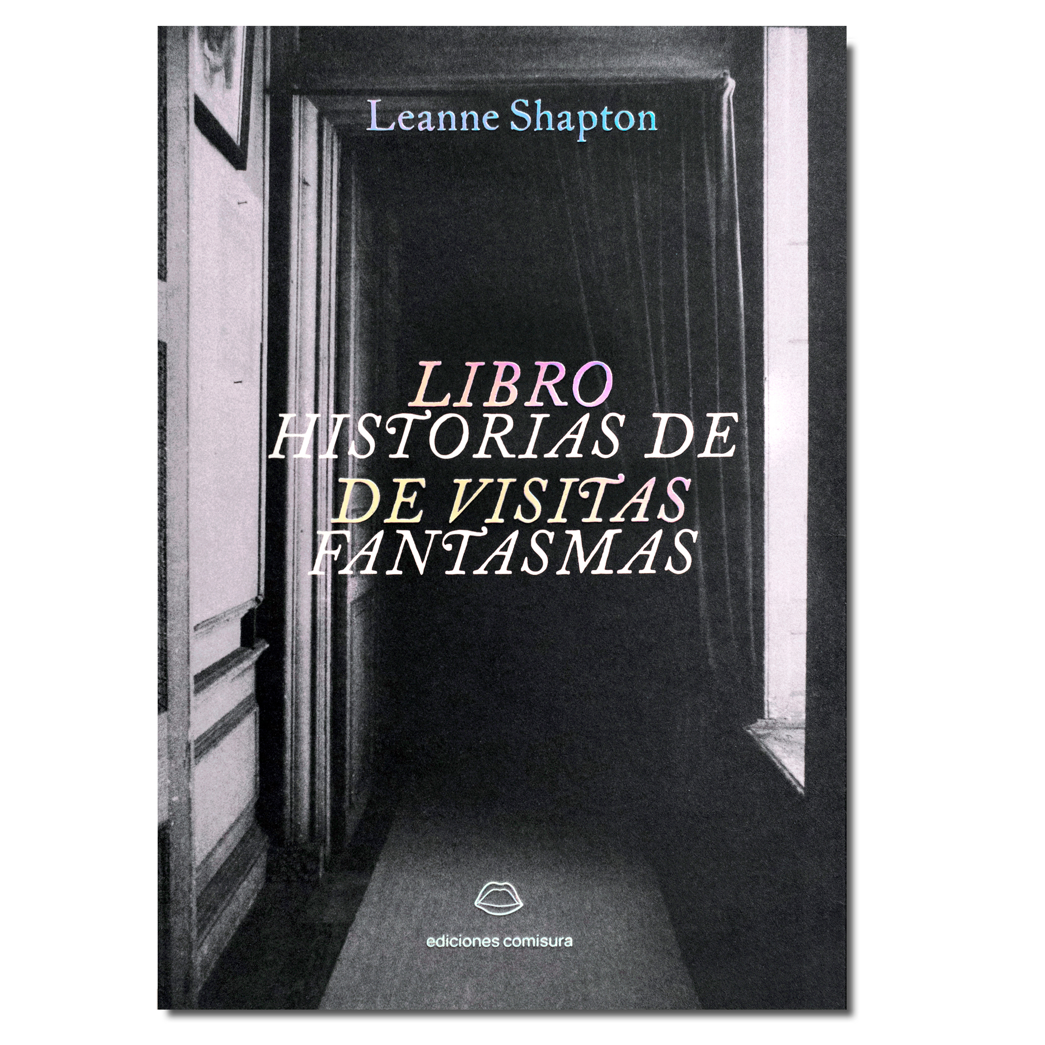 Leanne Shapton, Ana Flecha Marco: Libro de visitas: historias de fantasmas (Paperback, castellano language, 2024, Comisura ediciones)