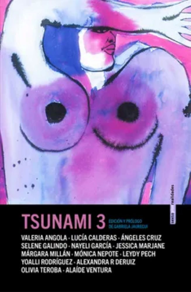 Gabriela Jauregui, Valeria Angola, Lucía Calderas, Ángeles Cruz, Selene Galindo, Nayeli García, Nayeli García, Márgara Millán, Mónica Nepote, Leydy Pech, Yoalli Rodríguez, Alexandra R DeRuiz: Tsunami 3 (Paperback, Spanish language, 2024, Sexto Piso)